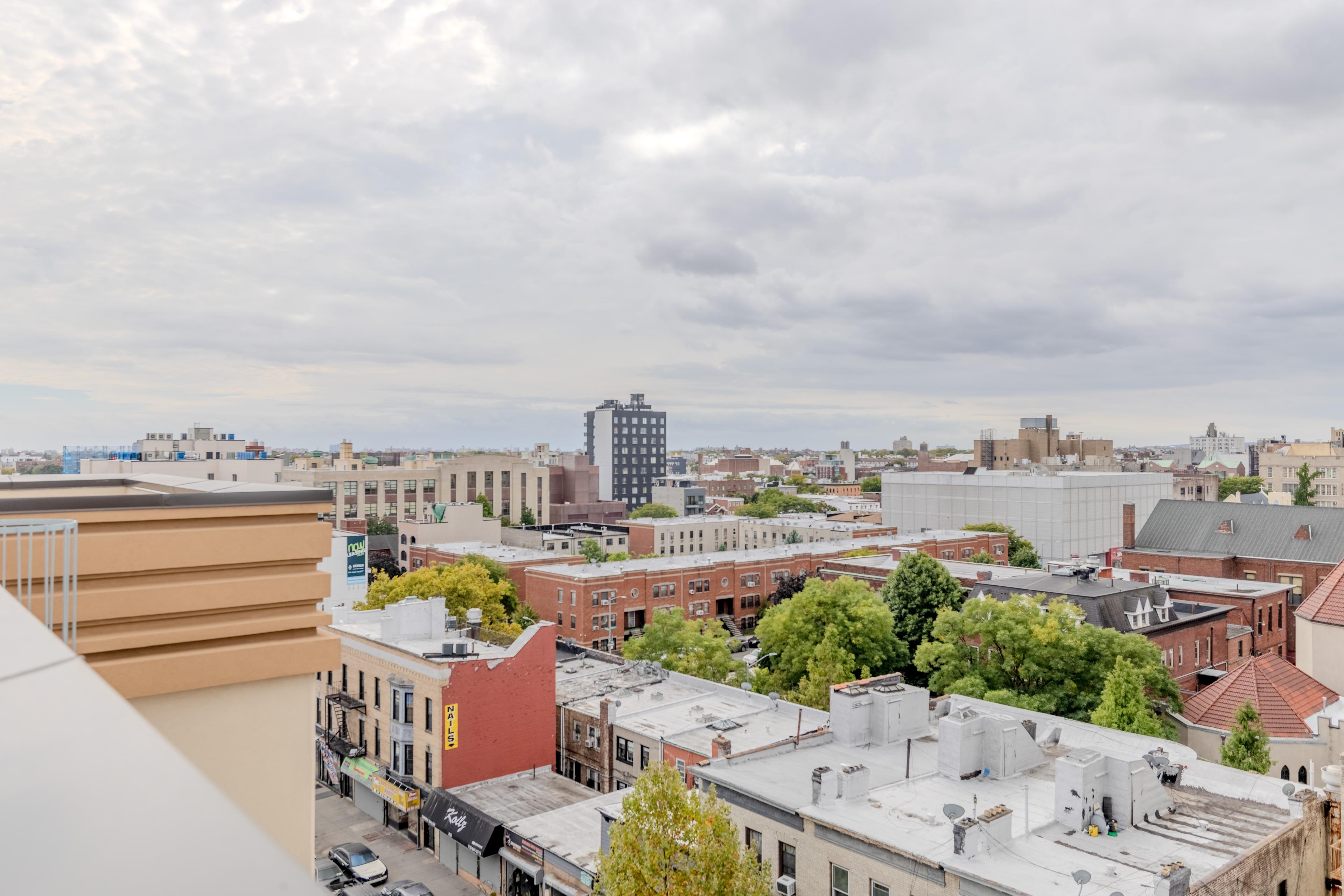 Roof-2.jpg
